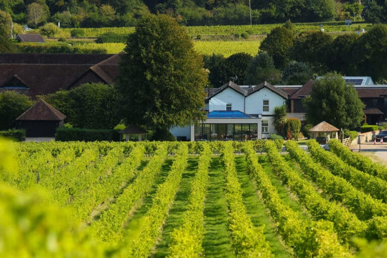Denbies Vineyard Hotel