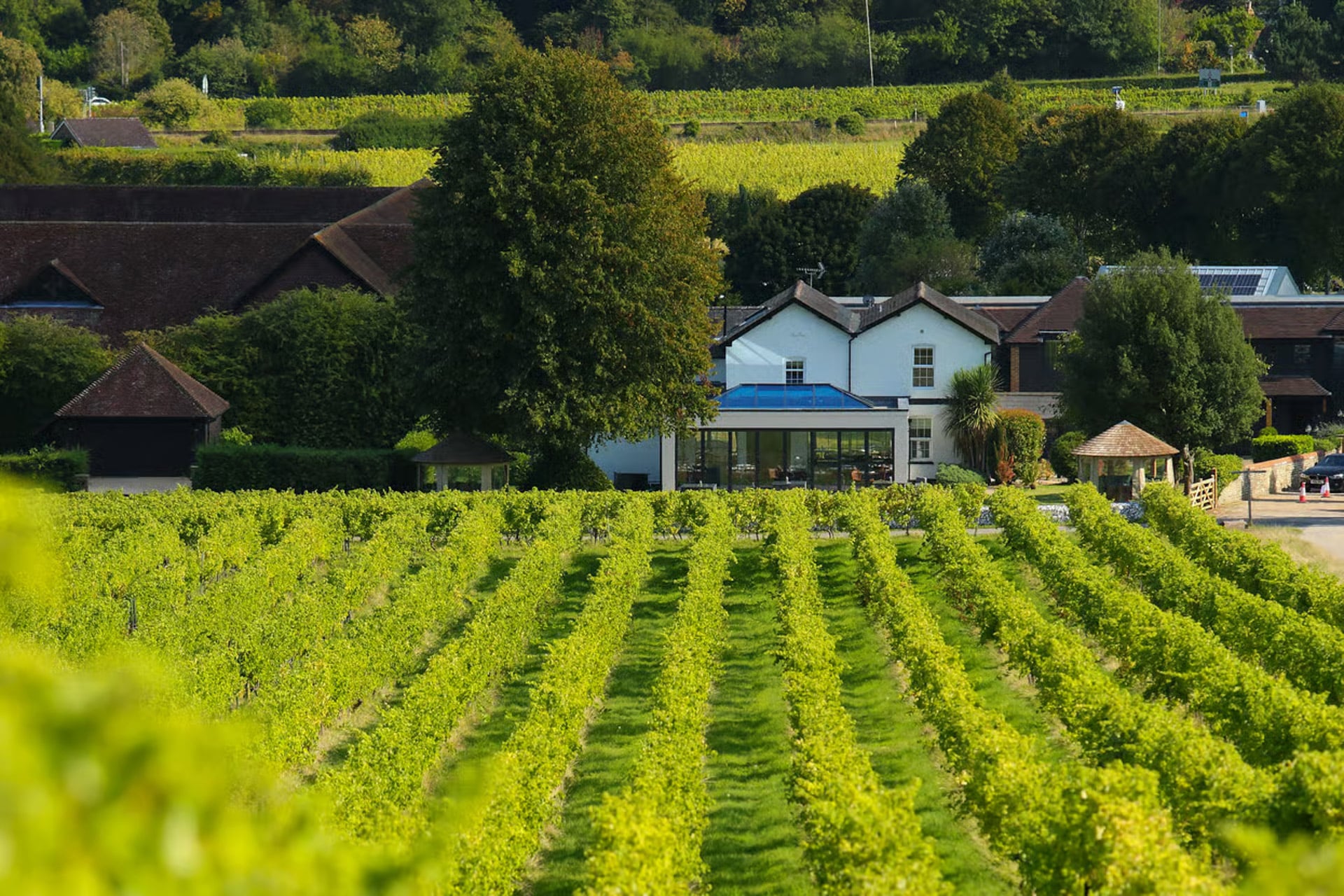 Denbies Vineyard Hotel