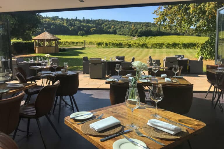 Vineyard views from the table