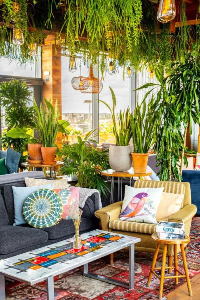 Rooftop bar