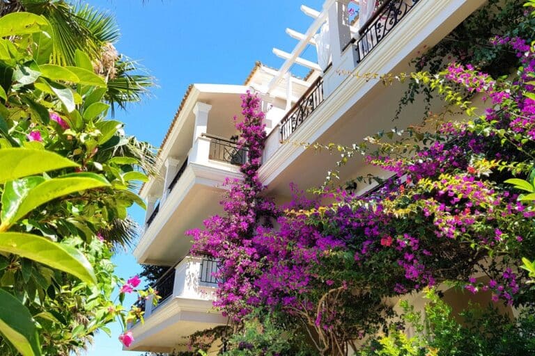 Hotel balconies draped in bougainvillea at Delfino Blu Wellness Boutique Hotel, Agios Stefanos, Corfu
